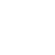 Dinamicas
