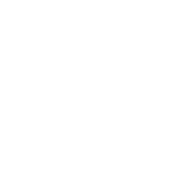 Intervenciones