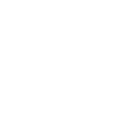 Dinamicas